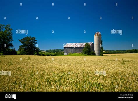 Barn Silo Hi Res Stock Photography And Images Alamy