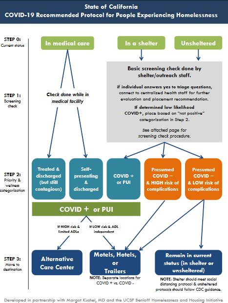 Triage Process Flow Chart