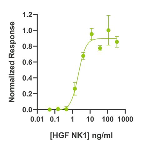 Recombinant Bovine HGF Protein Qk060 Qkine