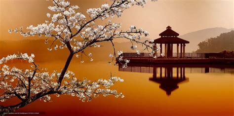 Oriental Desktop Wallpaper