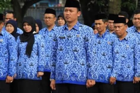 Ruu Asn Tranformasi Skema Baru Gaji Pns Dan Pppk Tahun