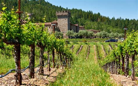 Napa Valleys Famed Winery Damaged In Glass Fire The Greenspan Co