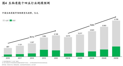 生物质能：一座待发掘的能源宝库，但挑战并存天然气