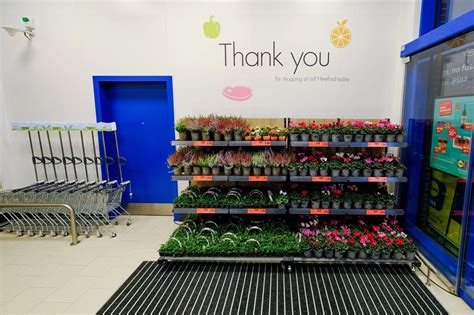 Inside Hereford S Lidl Improved Store After Nearly Five Months Of