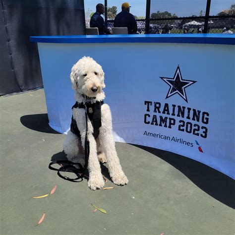 Global Medical Response