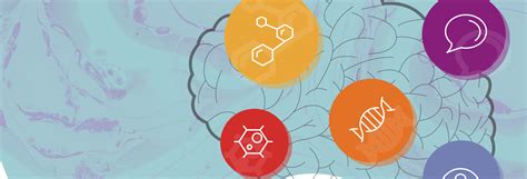 fau brain institute florida atlantic university