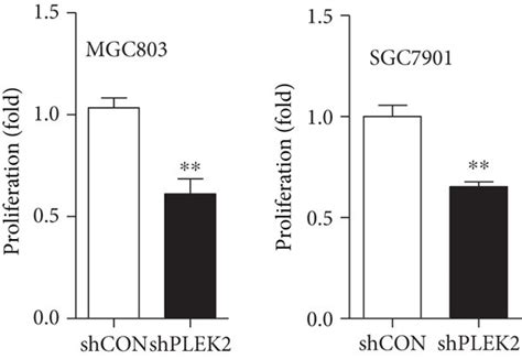 Knockdown of PLEK2 significantly suppressed gastric cancer cell ... 