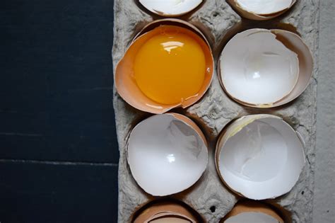 Why Egg Yolk Color Doesn't Matter - Whole-Fed Homestead