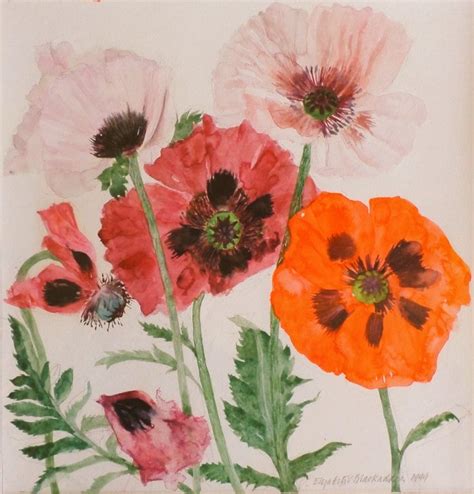 ElaineS On Twitter RT Womensart1 Poppies By Elizabeth Blackadder