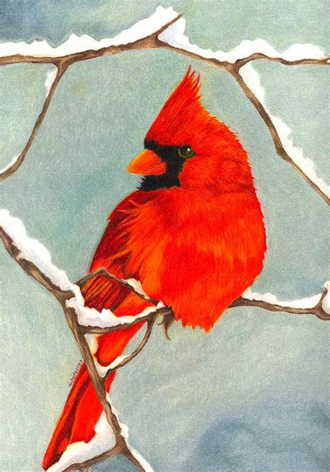 Red Cardinal In Winter Birds Painting Painting Drawing Canvas