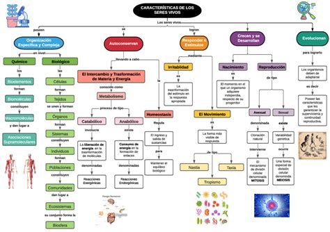 Mapa conceptual Los seres vivos CARACTERÍSTICAS DE LOS SERES VIVOS