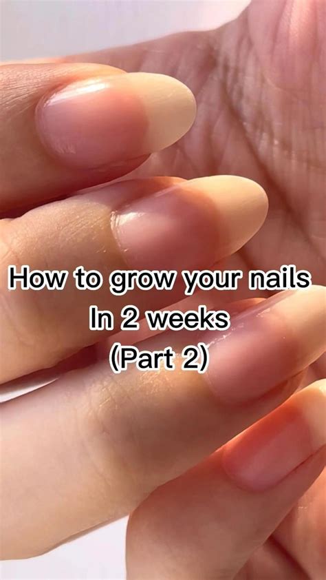 How To Grow Your Nail In 2 Weeks Part 2 How To Grow Nails Grow