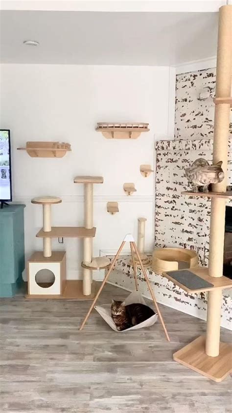 Amazing Cat Room Ideas Create A Paradise For Your Feline Friend