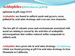 Bacterial growth and pH | PPT