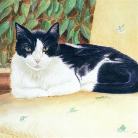 Tuxedo Cat Art - Etsy