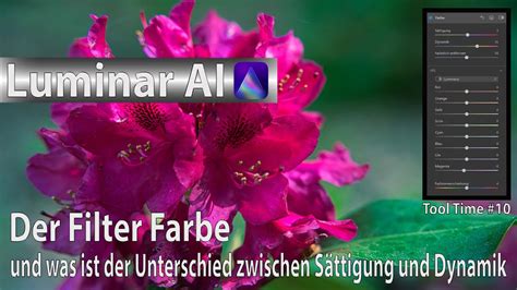 Luminar AI Tool Time 10 Der Filter Farbe Und Der Unterschied