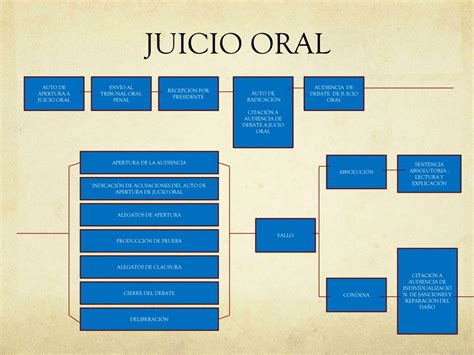 Diagrama De Flujo Del Juicio Oral Penal Image To U