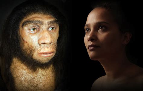 Neanderthal Dna In Humans