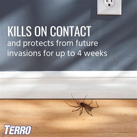 Terro 16 Oz Spider And Ant Insect Killer Aerosol T2303 At