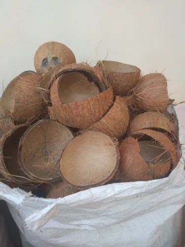 Coconut Shell In Salem Tamil Nadu Get Latest Price From Suppliers Of