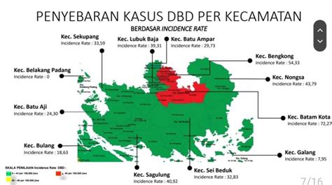 Faktor Cuaca Jumlah Kasus DBD Di Batam Naik Sejak Januari 2022