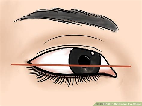 How To Determine Eye Shape 7 Steps With Pictures WikiHow