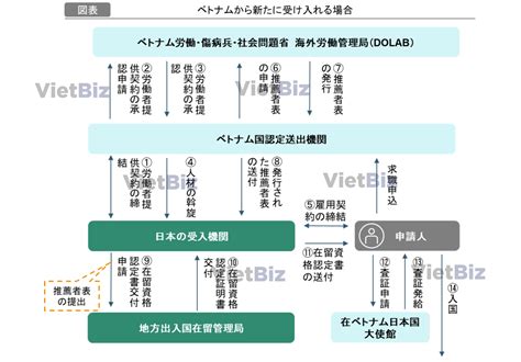 特定技能ベトナム人の受入制度が改正：手続きで注意すべき変更ポイント Vietbiz（ベトビズ）