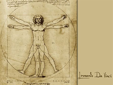 Leonardo Da Vinci Vitruvian Man Art