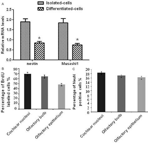 Comparison Of Proliferation And Differentiation Ability Of Npcs A