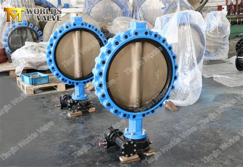 Fully Lugged And Tapped Butterfly Valve With Al Bronze B148 Disc For Sea Water China