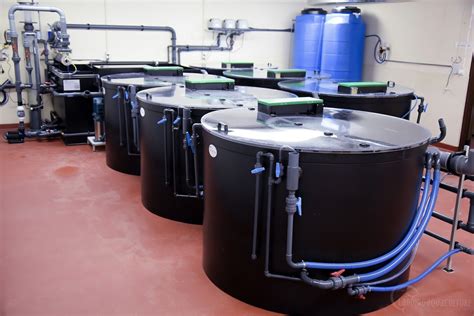 Dutch Company Completes Ras Unit For Shrimp Research Hatchery