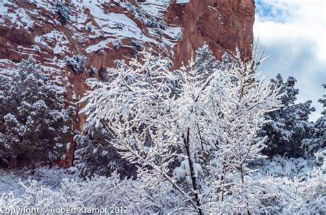 Observations From Our First Utah Winter | The Happy Scientist