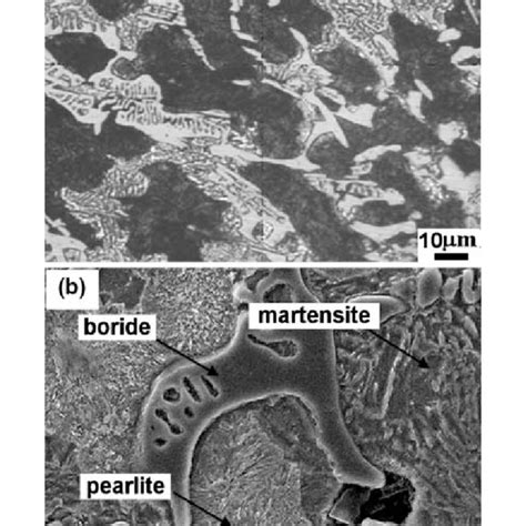 As Cast Microstructure Of Alloy C A Om Micrography Of Alloy C And Download Scientific