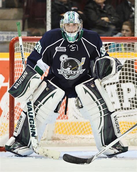 Alex Nedeljkovic - The Next Ones: 2014 NHL Draft Prospect Profile