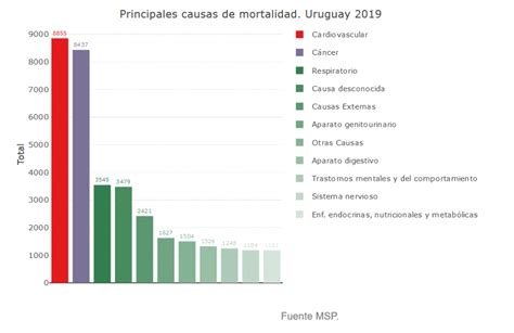 Mortalidad Por Enfermedades Del Sistema Circulatorio En El Uruguay