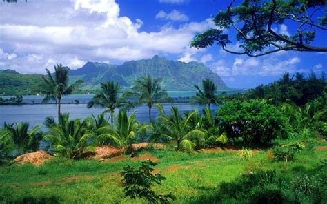 Hawaii Landscape Wallpapers - Top Free Hawaii Landscape Backgrounds ...