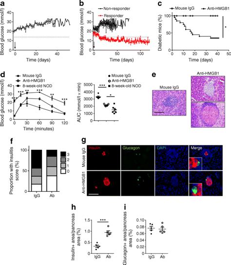 Anti HMGB1 Therapy Results In The Reversal Of New Onset Diabetes A