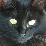 Susanna And Maria Russian Babe Babe Porn Xhamster