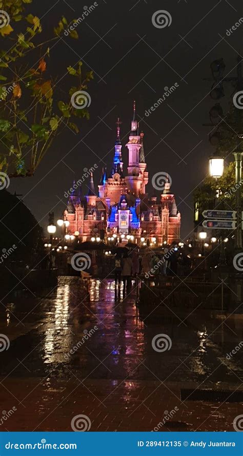 Sparkling Disney Castle At Night Editorial Image Image Of Castle