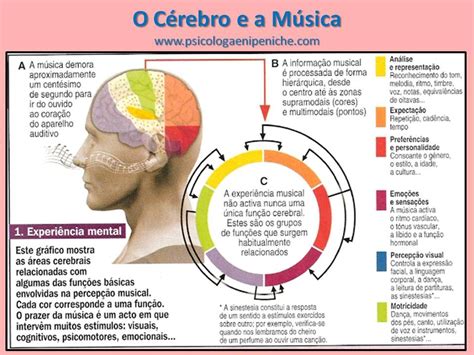 Qual É O Coletivo De Música
