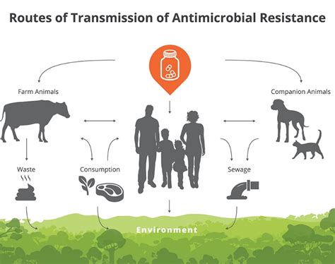 Antimicrobials And Amr The 21st Century Challenge For Public Health