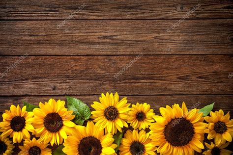 Sunflowers on wooden background Stock Photo by ©alexraths 121663664