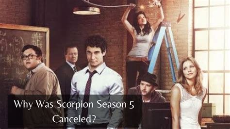 Why Was Scorpion Season 5 Canceled? Uncovering The True Reasons – Gent ...