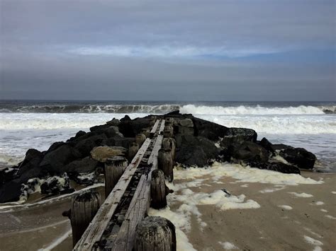 It's All About Purple: Bay Head Beaches...