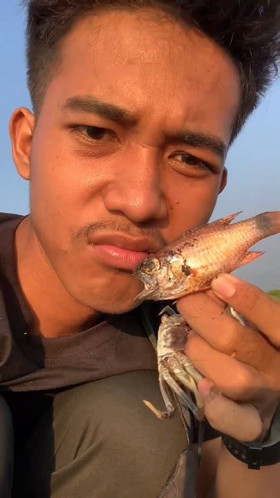 Nemu Ikan Mati Terdampar 🐠🐡🐟 Ini Ikan Apa Ya Firmanpetualang Ikan