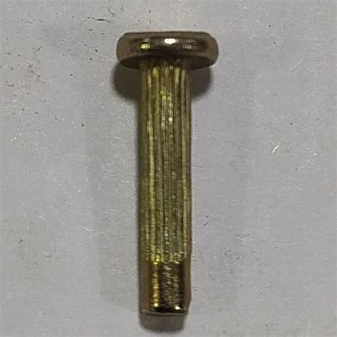 Round Golden Brass Tubular Rivet At Best Price In Mumbai Id