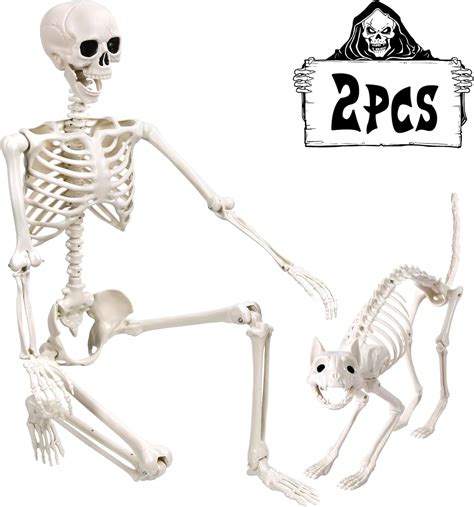 5 4ft Halloween Life Size Human Skeletons With Cat