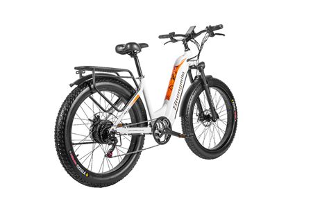 Vélo électrique adulte 26 Fat bike electrique 1000W Bafang MX06