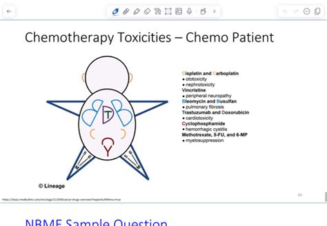 Cancer Chemotherapy Flashcards Quizlet