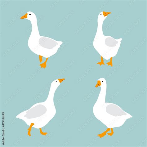 Set of cute white geese. Vector goose illustration Stock Vector | Adobe ...